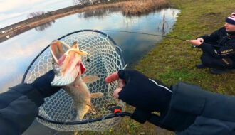 50 щук за 5 годин: аномальне клювання в грудні