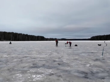 Тонкая грань: почему 5 сантиметров льда обманывают даже опытных рыбаков