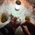 Как определить лучшие дни для зимней рыбалки в январе 2026 по календарю клева?