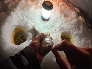 Когда в январе 2026 лед становится безопасным и где уже можно выходить на рыбалку?