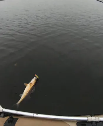 Чому судак іде в ями у грудні і як його ловити