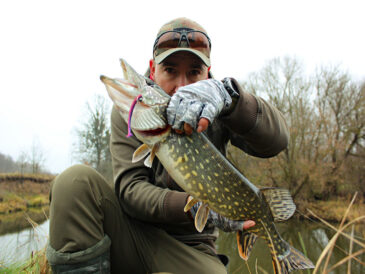 Рыбаки нашли активную рыбу в декабре: где и на что ловят сейчас
