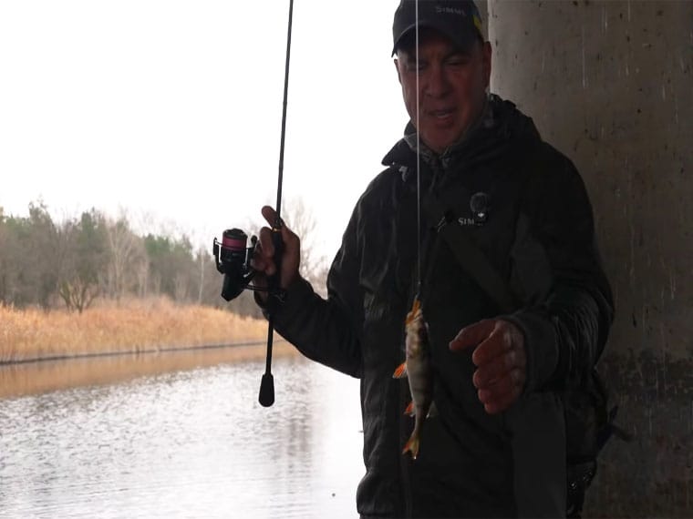 Хитрая проводка: ловим пассивного окуня, когда вода как стекло