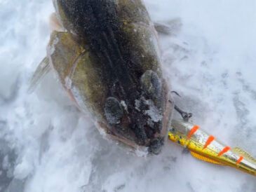 Как правильно бурить лунки — расстояние, схема и глубина ловли?