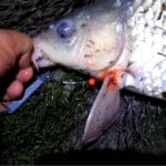 Как забросить живца далеко и не потерять его: самодельный груз-стакан