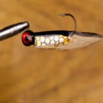 Официальные соревнования по рыбалке в Украине: Госрыбагентство напомнило ключевые правила