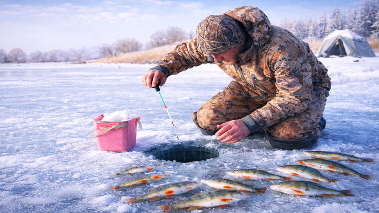 Календарь рыбака на январь 2026: лучшие дни и водоемы для ловли