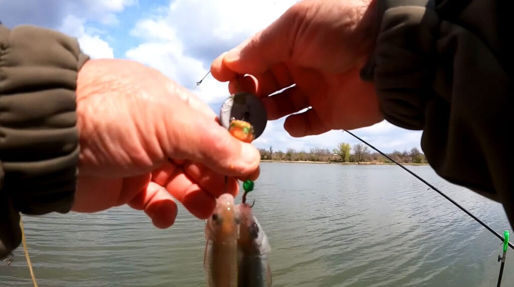 Макушатник від глухих зачепів: хитрість із пластиковим крилом