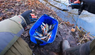 Мікроджиг у грудні - які ваги працюють по хижаку