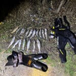 Трофейный сезон на Днепре: рыбак поймал щуку весом более 8 килограммов (видео)