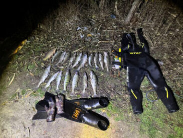 На Днепропетровщине задержали браконьеров-водолазов с ружьями