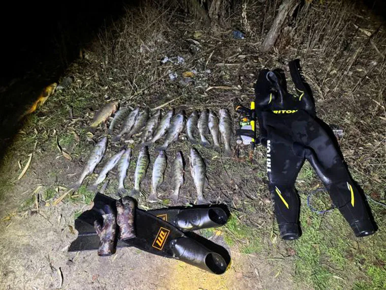 На Дніпропетровщині затримали браконьєрів-водолазів із рушницями