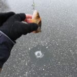 Риба бачить приманку, але не бере: як змусити хижака клюнути взимку?