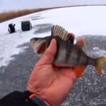 Одна форма, яка замінює десятки зимових приманок: простий спосіб полегшити риболовлю