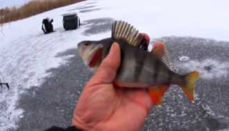 Первый лед: безопасная толщина и места, где можно выходить на рыбалку