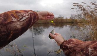 Рыбак нашел место с гигантскими окунями