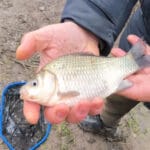 Тонкая грань: почему 5 сантиметров льда обманывают даже опытных рыбаков