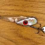 Рыбаки нашли активную рыбу в декабре: где и на что ловят сейчас