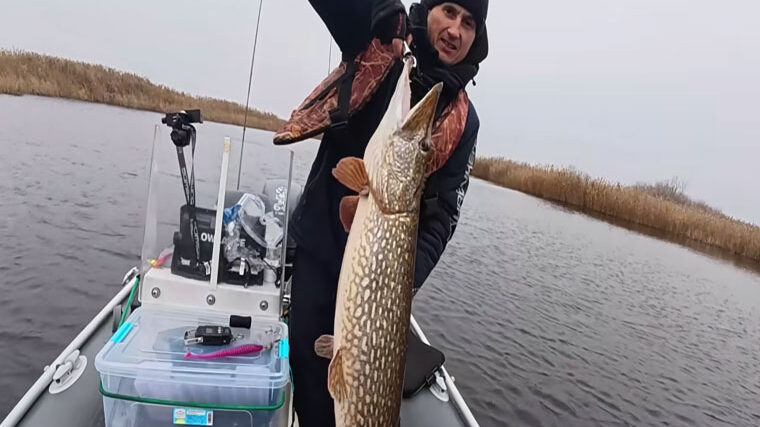 Щука вагою 8,5 кг на Дніпрі - улов рибалки, відео