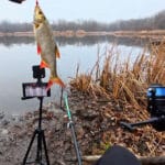 Хитрая проводка: ловим пассивного окуня, когда вода как стекло