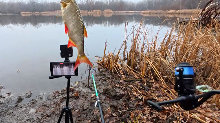 Рыбалка за копейки: реально ли наловить гору рыбы снастями из Авроры?