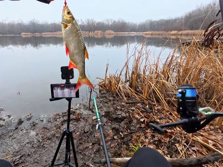 Рыбалка за копейки: реально ли наловить гору рыбы снастями из Авроры?