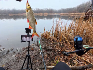 Риболовля за копійки: чи реально наловити гору риби снастями з “Аврори”?