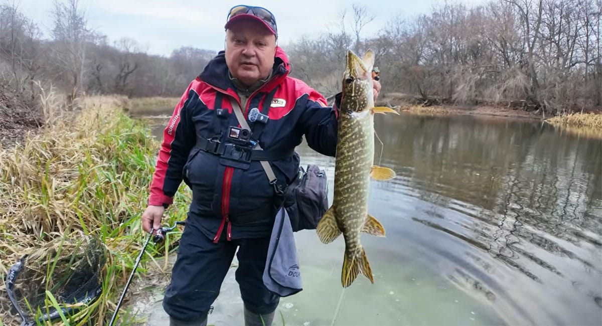 Тактика двох приманок: як швидше знайти річкову щуку
