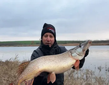 Трофейна щука 4,4 кг - рибалка розповів про улов