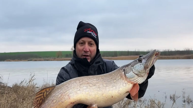 Трофейна щука 4,4 кг - рибалка розповів про улов