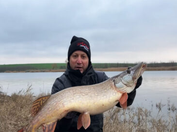 Украинский рыбак поймал трофейную щуку весом 4,4 кг в сложнейших погодных условиях (видео)