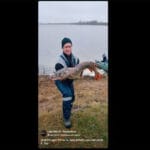 3 простых монтажа отводного поводка, которые стабильно работают по окуню и судаку