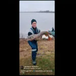 Несподіваний підйом кльову: рибалки розповіли, як судак активізувався у грудні