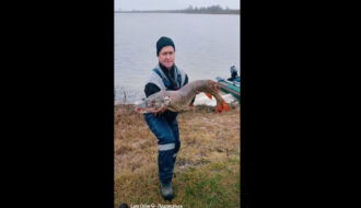 Українці зловили 10-кг щуку і зняли "монстра" на відео