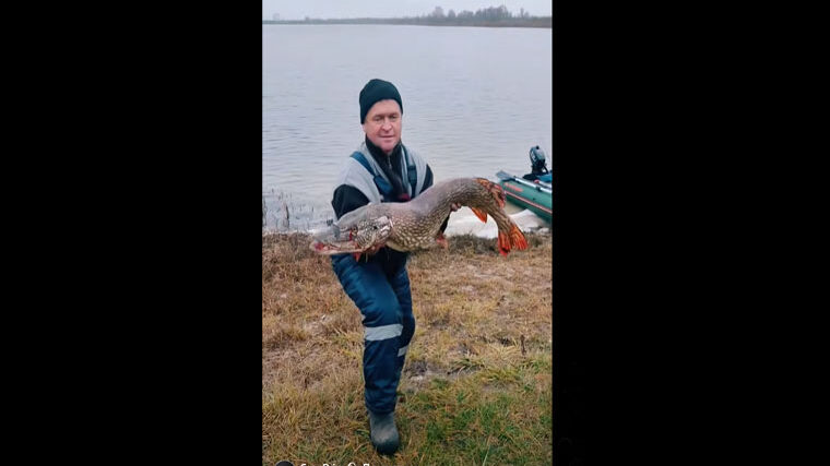 Українці зловили 10-кг щуку і зняли "монстра" на відео