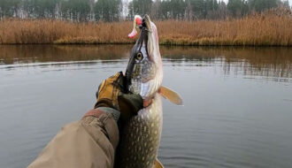 Уловистые приманки декабря 2025: статистика