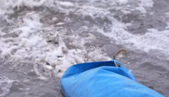 В Днестровский лиман выпустили 28 тонн молоди рыбы