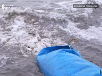 В Днестровский лиман выпустили 28 тонн молоди рыбы