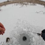 Де шукати плітку взимку – найкращі ділянки, які стабільно дають клювання?