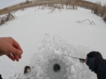 Як ловити окуня взимку – кращі прийоми, що працюють у січні?