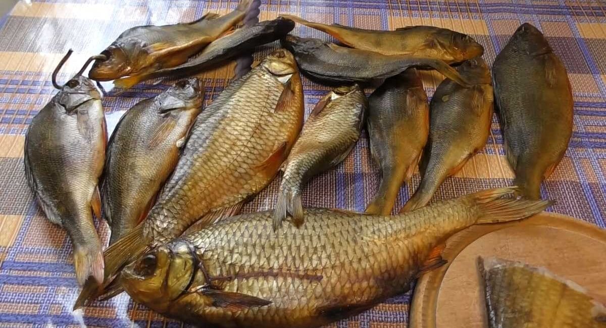 Як закоптити плотву та окуня вдома - робочий температурний режим