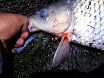 Як зробити макушатник-незачіпляйку - робочий лайфхак