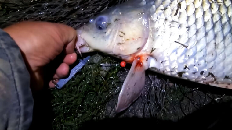 Як зробити макушатник-незачіпляйку - робочий лайфхак