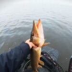 Які снасті потрібні для зимової риболовлі – список обов’язкового обладнання?