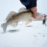 Провалилися під лід узимку: ДСНС нагадала, як урятуватися і не панікувати