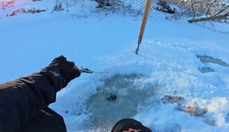 Чому плітка на течії раптово "вимикає" безмотильну мормишку і бере лише мотыля?