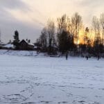 Перволедье на Псле: утренний окунь в протоках исчез к обеду