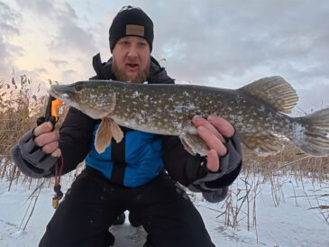 Дніпровські розливи: щука активнічала лічені хвилини і різко зникла