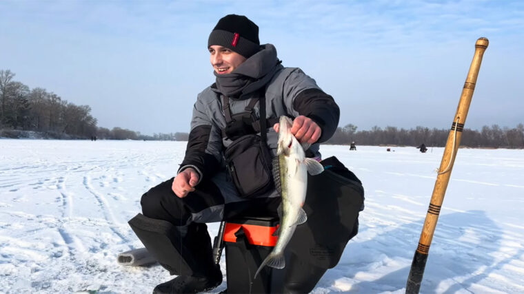 Гірлянда на Десні 2026: перший лід, судак на снасть для білої риби