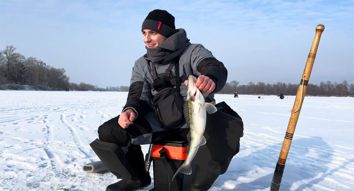Гірлянда на Десні 2026: перший лід, судак на снасть для білої риби